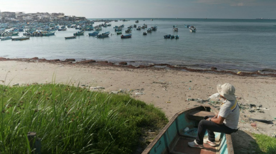"Si tu protestes, tu meurs": en Equateur, les p&ecirc;cheurs sous la coupe des narcos