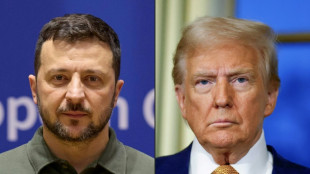 Zelensky et Trump tentent de trouver une approche commune vers la paix
