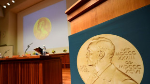 Le Nobel de m&eacute;decine aux Am&eacute;ricains Ambros et Ruvkun pour une perc&eacute;e dans la r&eacute;gulation des g&egrave;nes