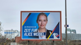 Bundestagsverwaltung pr&uuml;ft umstrittene Parteispende f&uuml;r die AfD