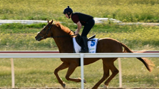 Vauban tipped for Melbourne Cup glory as Gold Trip targets another win