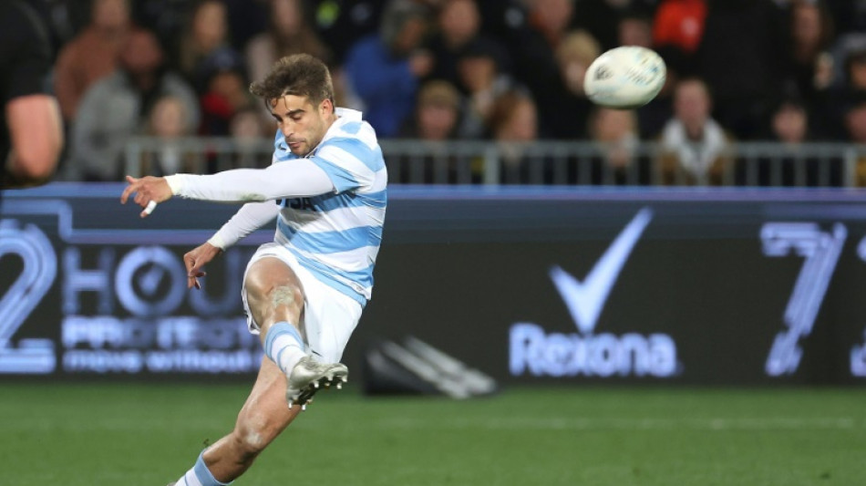 Rugby: l'Argentin Mallia cit&eacute; apr&egrave;s un choc dangereux sur le Sud-Africain Williams