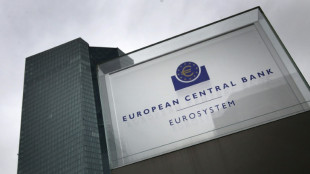 La BCE reste floue sur une remont&eacute;e des taux malgr&eacute; l'inflation record