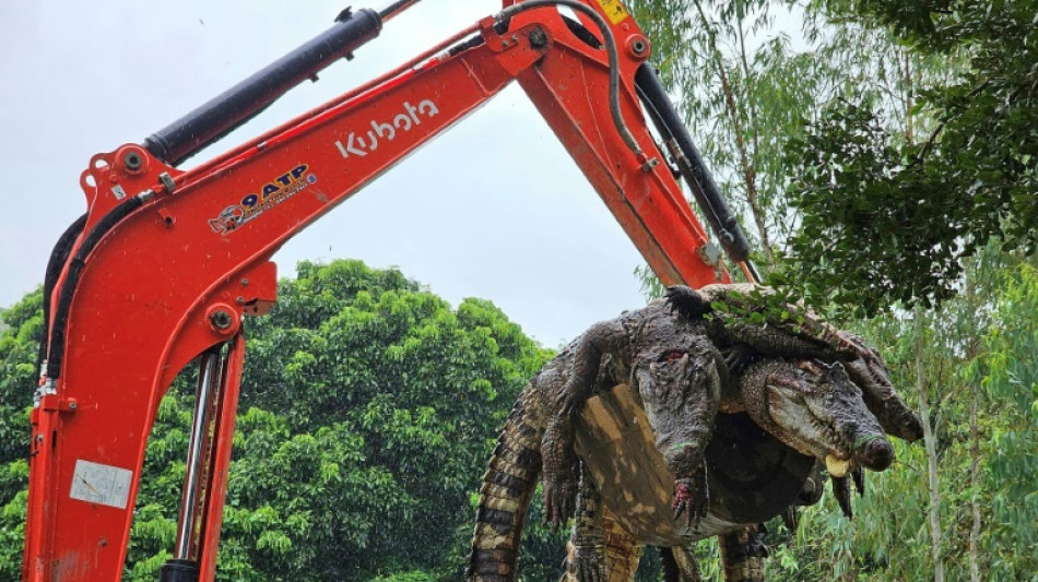 Tha&iuml;lande: 125 crocodiles abattus par crainte qu'ils ne s'&eacute;chappent durant les crues