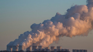 Erste Klimaaktivisten nach Blockade von Kraftwerk J&auml;nschwalde in Polizeigewahrsam