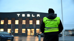 Su&egrave;de: les dockers se joignent par solidarit&eacute; &agrave; la gr&egrave;ve contre Tesla