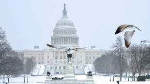 Le S&eacute;nat am&eacute;ricain adopte un texte qui devrait &eacute;courter la paralysie budg&eacute;taire