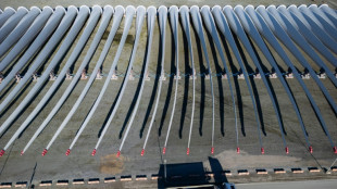 Eolien en mer: des dirigeants europ&eacute;ens r&eacute;unis pour redynamiser leurs ambitions