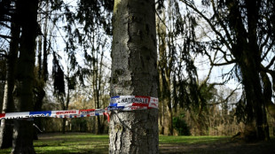 Enqu&ecirc;te pour meurtre ouverte apr&egrave;s la d&eacute;couverte du corps d'une coll&eacute;gienne dans un bois en Essonne