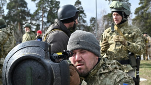 Ampel-Politiker fordern mehr Waffenlieferungen f&uuml;r Ukraine