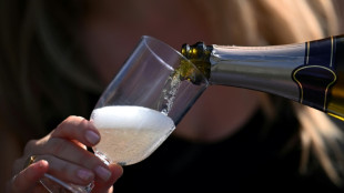 Canicule: le champagne issu de la r&eacute;colte 2026 pourra d&eacute;passer les 13 % d'alcool, selon le Journal officiel