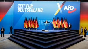 Ministerium weist Berichte &uuml;ber "S&auml;uberungen" bei Polizei wegen AfD-N&auml;he zur&uuml;ck