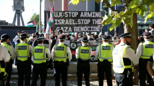 Hunderte pro-palästinensische Demonstranten bei britischer Rüstungsmesse