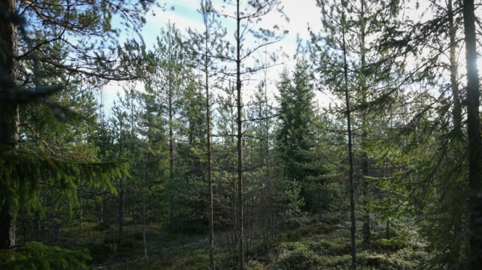Un proyecto de la UE para proteger &aacute;reas verdes genera rechazo en Finlandia