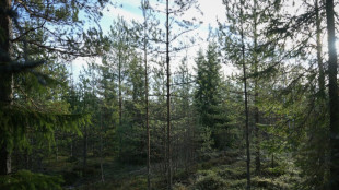 Un proyecto de la UE para proteger &aacute;reas verdes genera rechazo en Finlandia