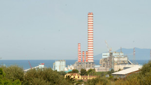 Pichetto al cdm, possibile mantenere 'in riserva' impianti a carbone