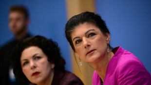 "FAZ": BSW fordert in Karlsruhe bundesweite Neuausz&auml;hlung der Stimmen