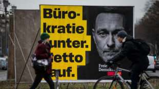 Wahlleiter pr&uuml;fen FDP-Listen zur Bundestagswahl - Partei: Nichts zu beanstanden