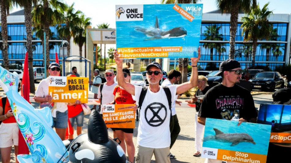Manifestation pour l'avenir des orques du Marineland &agrave; Antibes