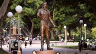 S&iacute;dney revisa las placas de sus estatuas coloniales