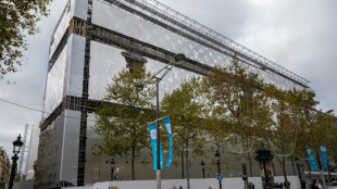 A Paris, des pubs g&eacute;antes enrobent des b&acirc;timents et divisent