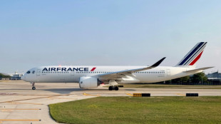 Air France suspend ses vols vers Tel Aviv et Beyrouth jusqu'&agrave; lundi "a minima"&nbsp; 