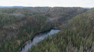 Beetles block mining of Europe's biggest rare earths deposit