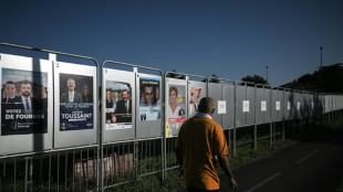 L&eacute;gislatives: dernier jour de campagne, les candidats appellent &agrave; la mobilisation
