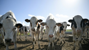Agriculture: l'Assembl&eacute;e s'empare du projet de loi pour r&eacute;pondre &agrave; la col&egrave;re
