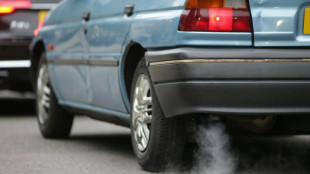 Wirtschaftsweise Grimm kritisiert Entscheidung zu E-Fuels