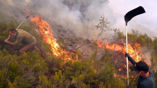 Das Schlimmste bei Waldbränden in Spanien scheint überstanden - Weiteres Todesopfer in Portugal