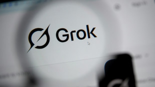 Sexualisierte KI-Bilder: Irland leitet Untersuchung gegen Musk-Chatbot Grok ein