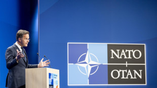 Rutte, 'alleati concordano, l'Iran non pu&ograve; avere la bomba'