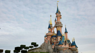 Hochzeit mit Neunjähriger in Disneyland inszeniert: Brite inhaftiert