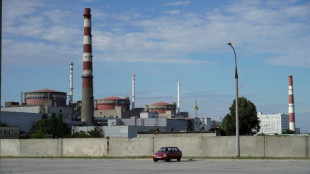 La central ucraniana de Zaporiyia, bajo la amenaza de una cat&aacute;strofe nuclear