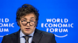El FMI prev&eacute; una recesi&oacute;n en Argentina y da un espaldarazo a Milei