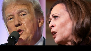Trump et Harris au coude-&agrave;-coude dans trois Etats-cl&eacute;s