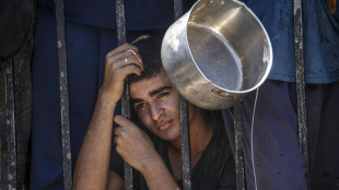 Ue, 'camion aiuti autorizzati da Israele non sufficienti'