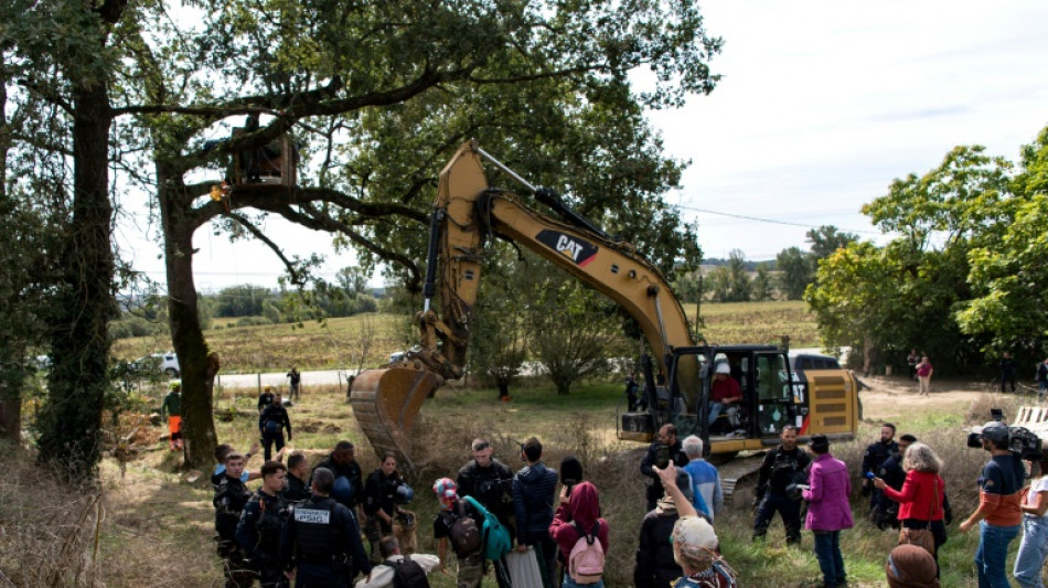 A69: dans le dernier bastion d'opposants, grands arbres coup&eacute;s avant &eacute;vacuation programm&eacute;e