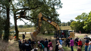 A69: dans le dernier bastion d'opposants, grands arbres coup&eacute;s avant &eacute;vacuation programm&eacute;e
