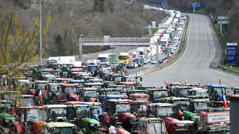 Agricultores franceses y espa&ntilde;oles bloquean la frontera para "tener peso" en elecciones europeas