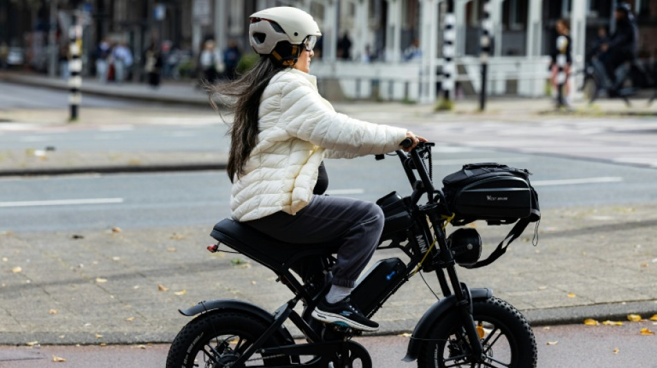 Bike-loving Dutch weigh ban on fat bikes from cycle lanes