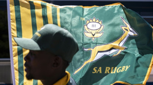 Rugby: Fi&egrave;vre vert et or en Afrique du Sud, communion autour de la finale