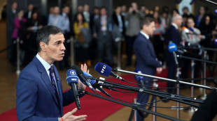 Sanchez, 'guerra in Iran illegale, c'&egrave; chi la usa contro il Green Deal'