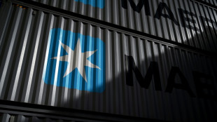 La empresa Maersk desviar&aacute; sus buques hacia el cabo de Buena Esperanza para evitar el mar Rojo