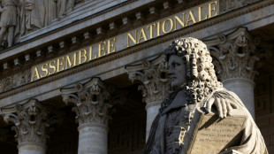 Pr&eacute;sidence de l'Assembl&eacute;e: suspense &agrave; tous les &eacute;tages