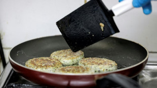 Polluants &eacute;ternels: un rapport recommande &agrave; l'Etat d'agir "sans tarder"