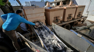 Mercosur y Canadá retoman las negociaciones de un acuerdo de libre comercio