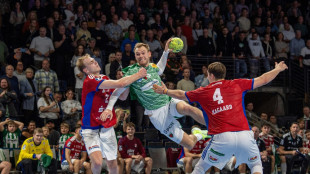 HBL: Meister Berlin patzt - Magdeburg mit Mühe