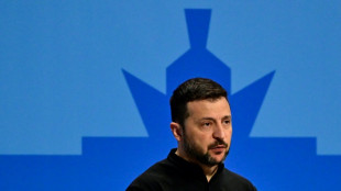 A Berlin, Zelensky snob&eacute; par l'extr&ecirc;me droite et la gauche souverainiste